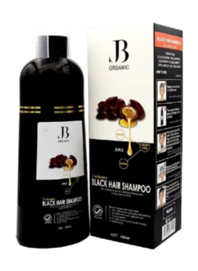 JB ORGANIC JB Argan Oil Hair color Shampoo Natural Black 400 ML - Image 1